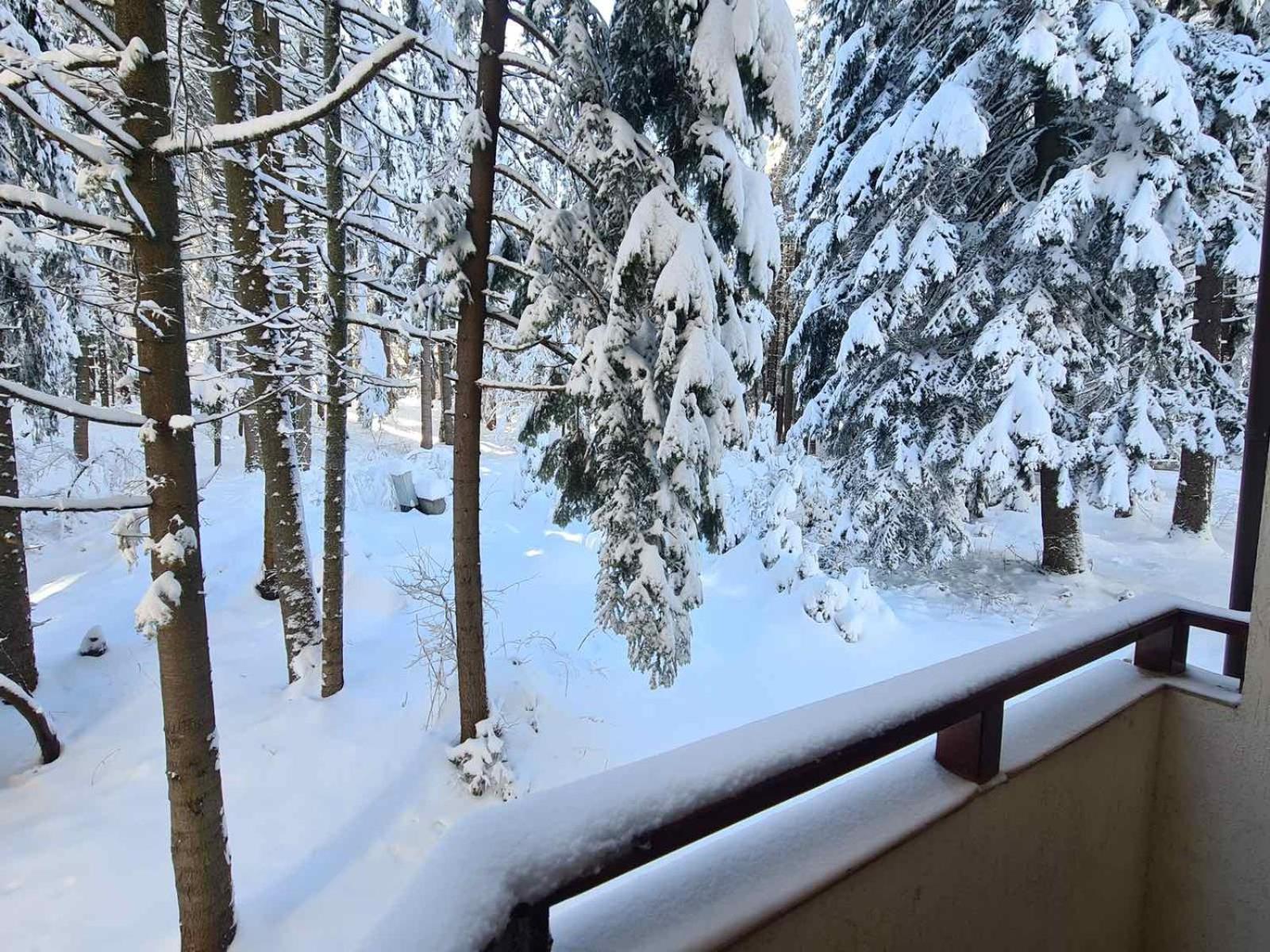 Forest Apartment/ Villa Park Μπόροβετς Εξωτερικό φωτογραφία
